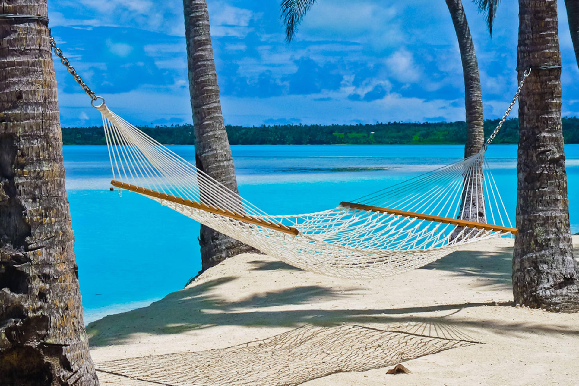 A hammock strung between palm trees on a quiet South Pacific beach