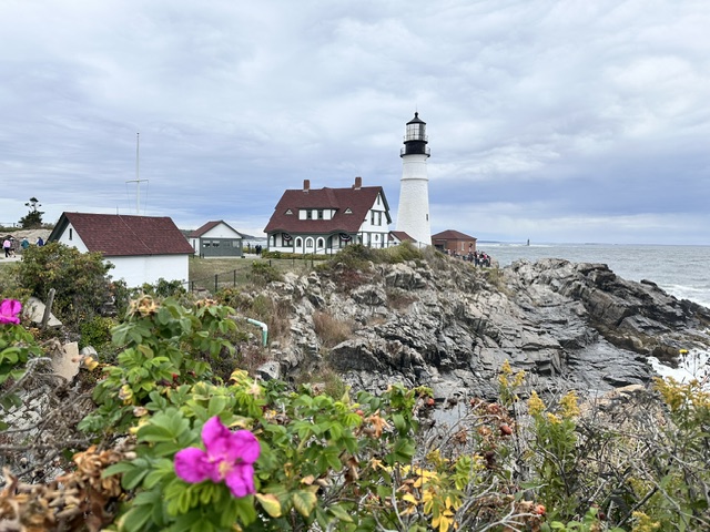 A white lighthouse and red-roofed buildings on a rocky coastal point, with pink flowers in front